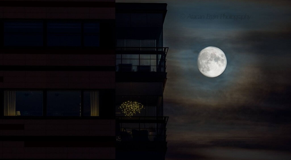 10749972_590680731062493_1830791519277009141_o