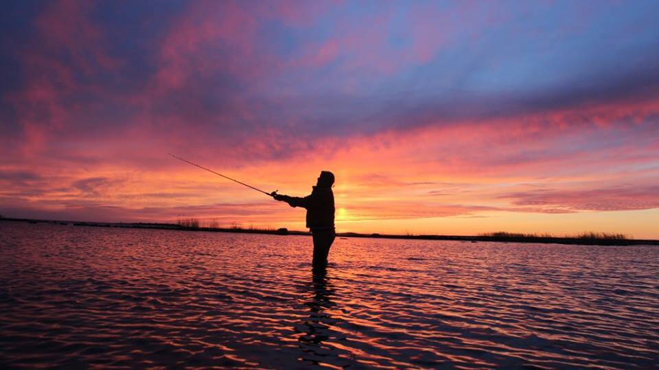 Giải pháp chiếu sáng đường phố thông minh Lumine